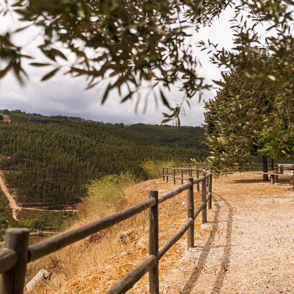 miradouro_foto9